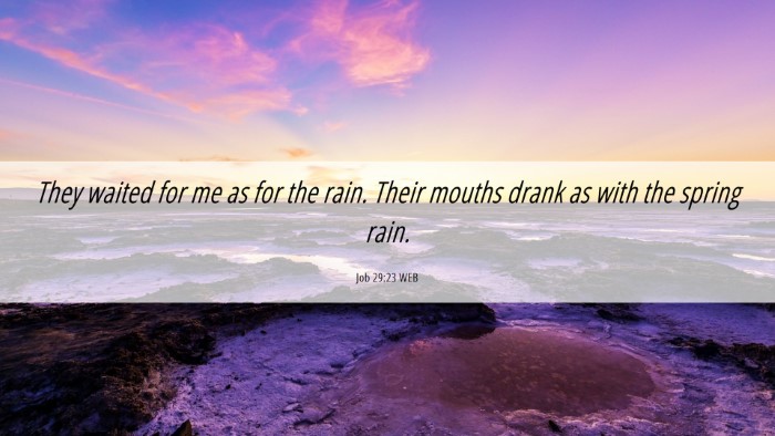 Picture 06 - Job 29:23 WEB Desktop Wallpaper - They waited for me as for the rain. Their mouths - Desktop Bible Verse Wallpaper