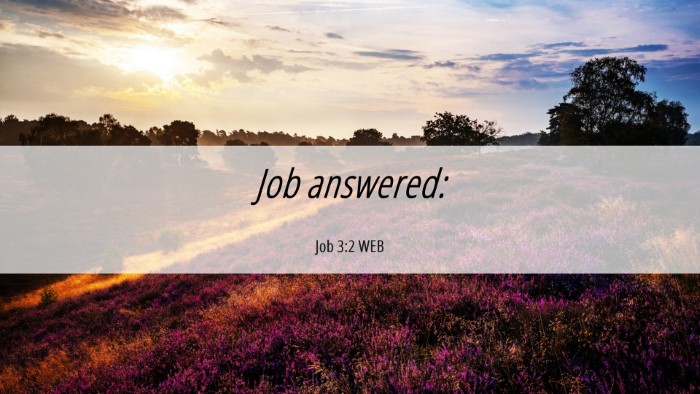 Picture 06 - Job 3:2 WEB Desktop Wallpaper - Job - Desktop Bible Verse Wallpaper