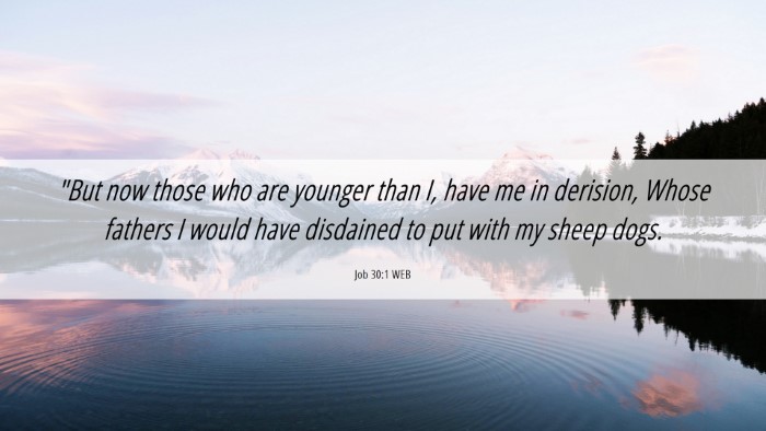 Picture 06 - Job 30:1 WEB Desktop Wallpaper - 