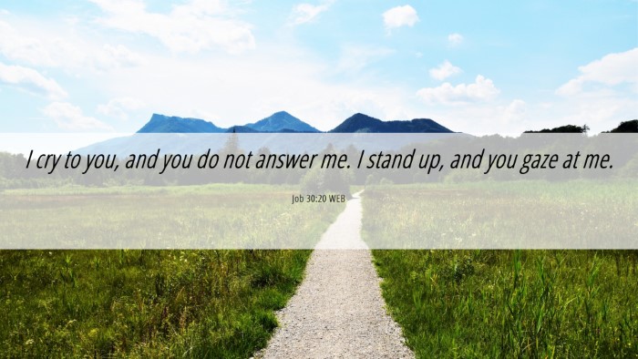 Picture 06 - Job 30:20 WEB Desktop Wallpaper - I cry to you, and you do not answer me. I stand - Desktop Bible Verse Wallpaper