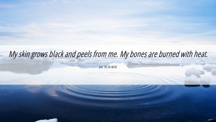 Picture 06 - Job 30:30 WEB Desktop Wallpaper - My skin grows black and peels from me. My bones - Desktop Bible Verse Wallpaper