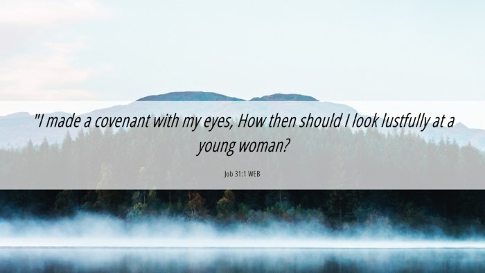 Picture 06 - Job 31:1 WEB Desktop Wallpaper - 