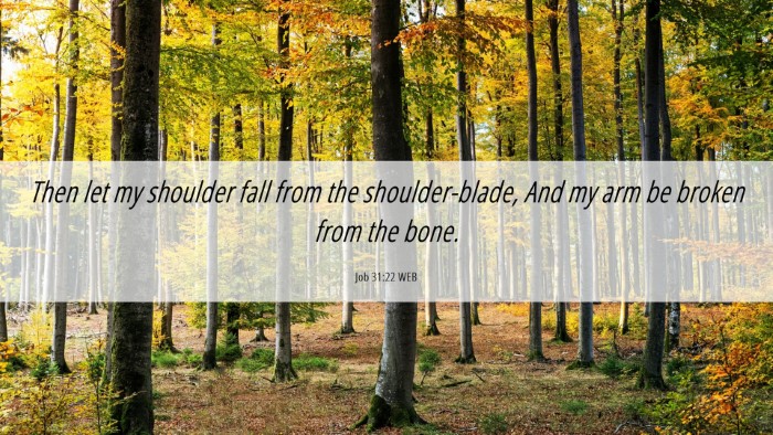 Picture 06 - Job 31:22 WEB Desktop Wallpaper - Then let my shoulder fall from the - Desktop Bible Verse Wallpaper