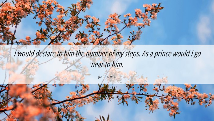 Picture 06 - Job 31:37 WEB Desktop Wallpaper - I would declare to him the number of my steps. As - Desktop Bible Verse Wallpaper