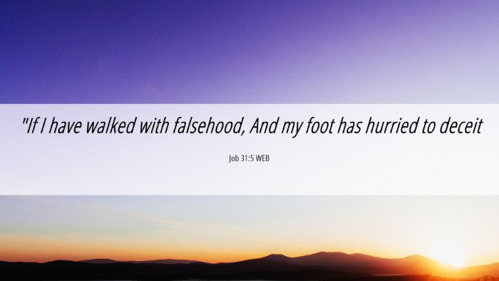 Picture 06 - Job 31:5 WEB Desktop Wallpaper - 