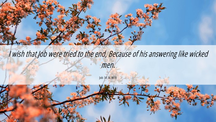 Picture 06 - Job 34:36 WEB Desktop Wallpaper - I wish that Job were tried to the end, Because of - Desktop Bible Verse Wallpaper
