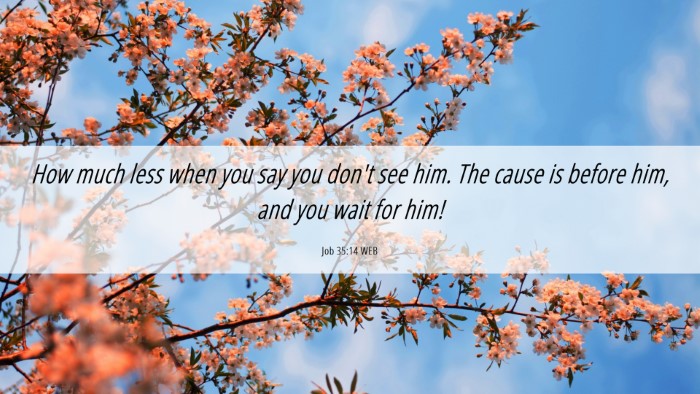 Picture 06 - Job 35:14 WEB Desktop Wallpaper - How much less when you say you don't see him. The - Desktop Bible Verse Wallpaper