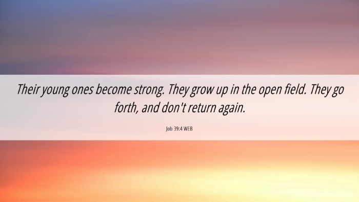 Picture 06 - Job 39:4 WEB Desktop Wallpaper - Their young ones become strong. They grow up in - Desktop Bible Verse Wallpaper