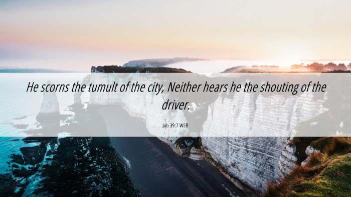 Picture 06 - Job 39:7 WEB Desktop Wallpaper - He scorns the tumult of the city, Neither hears - Desktop Bible Verse Wallpaper