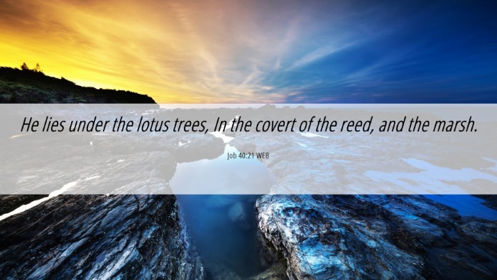 Picture 06 - Job 40:21 WEB Desktop Wallpaper - He lies under the lotus trees, In the covert of - Desktop Bible Verse Wallpaper