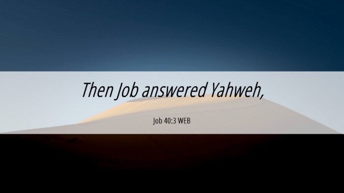 Picture 06 - Job 40:3 WEB Desktop Wallpaper - Then Job answered - Desktop Bible Verse Wallpaper
