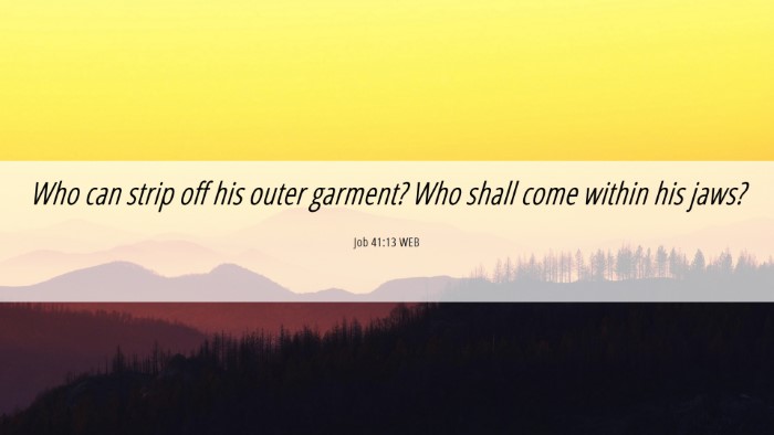 Picture 06 - Job 41:13 WEB Desktop Wallpaper - Who can strip off his outer garment? Who shall - Desktop Bible Verse Wallpaper