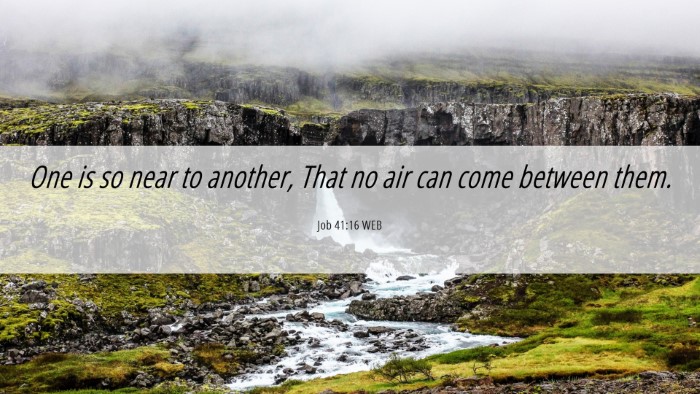 Picture 06 - Job 41:16 WEB Desktop Wallpaper - One is so near to another, That no air can come - Desktop Bible Verse Wallpaper