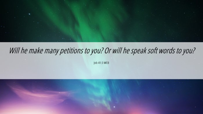 Picture 06 - Job 41:3 WEB Desktop Wallpaper - Will he make many petitions to you? Or will he - Desktop Bible Verse Wallpaper