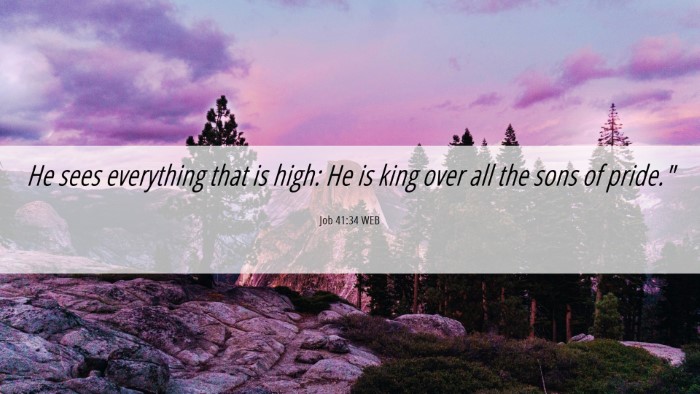 Picture 06 - Job 41:34 WEB Desktop Wallpaper - He sees everything that is high: He is king over - Desktop Bible Verse Wallpaper