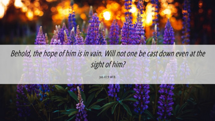 Picture 06 - Job 41:9 WEB Desktop Wallpaper - Behold, the hope of him is in vain. Will not one - Desktop Bible Verse Wallpaper
