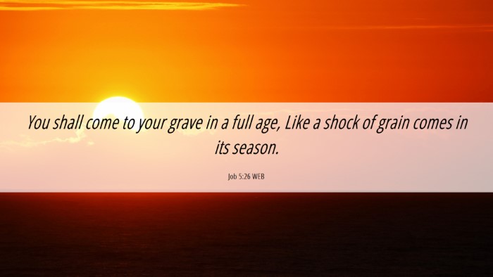 Picture 06 - Job 5:26 WEB Desktop Wallpaper - You shall come to your grave in a full age, Like - Desktop Bible Verse Wallpaper
