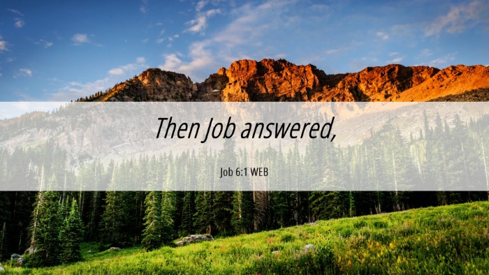 Picture 06 - Job 6:1 WEB Desktop Wallpaper - Then Job - Desktop Bible Verse Wallpaper
