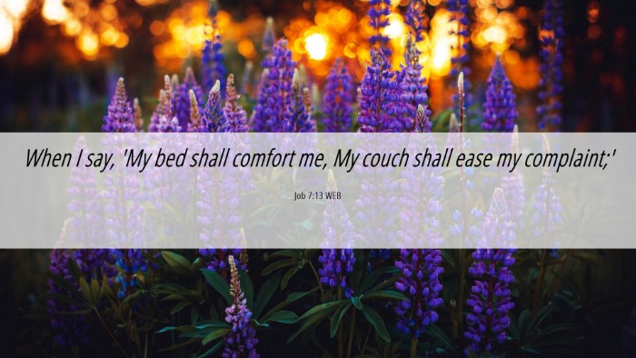 Picture 06 - Job 7:13 WEB Desktop Wallpaper - When I say, 'My bed shall comfort me, My couch - Desktop Bible Verse Wallpaper