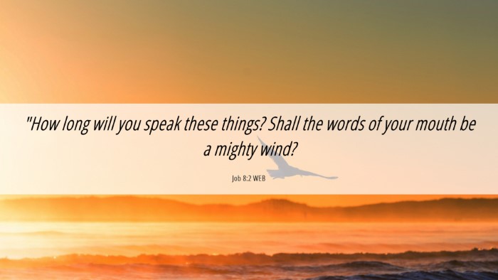 Picture 06 - Job 8:2 WEB Desktop Wallpaper - 