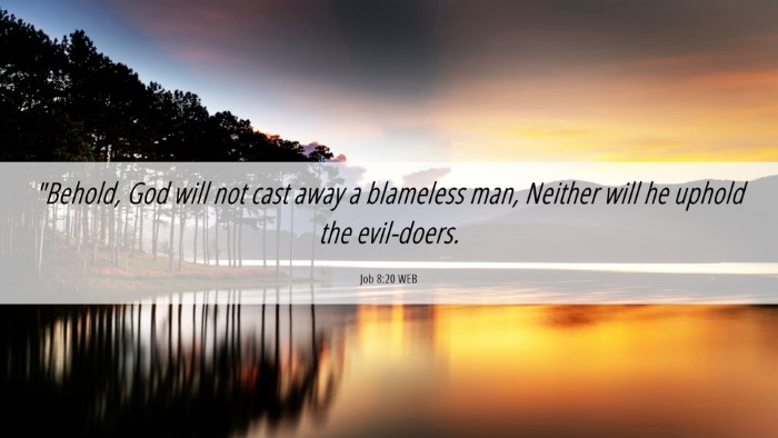 Picture 06 - Job 8:20 WEB Desktop Wallpaper - 