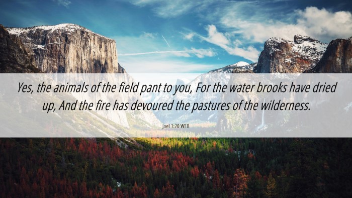 Picture 06 - Joel 1:20 WEB Desktop Wallpaper - Yes, the animals of the field pant to you, For - Desktop Bible Verse Wallpaper