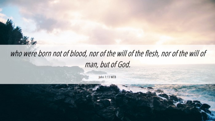Picture 06 - John 1:13 WEB Desktop Wallpaper - who were born not of blood, nor of the will of - Desktop Bible Verse Wallpaper