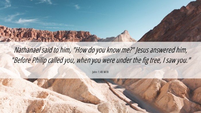 Picture 06 - John 1:48 WEB Desktop Wallpaper - Nathanael said to him, 