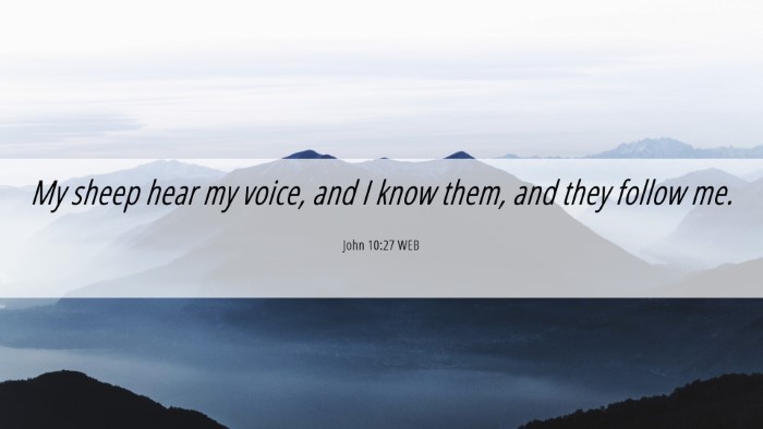 Picture 06 - John 10:27 WEB Desktop Wallpaper - My sheep hear my voice, and I know them, and they - Desktop Bible Verse Wallpaper