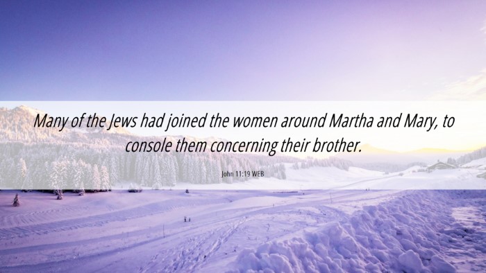 Picture 06 - John 11:19 WEB Desktop Wallpaper - Many of the Jews had joined the women around - Desktop Bible Verse Wallpaper