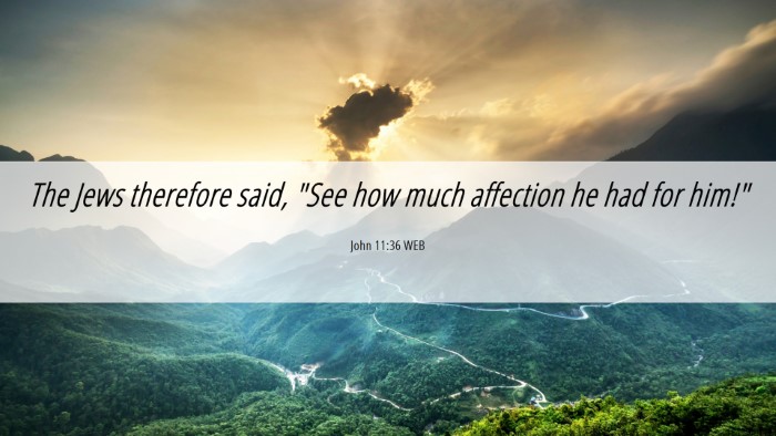Picture 06 - John 11:36 WEB Desktop Wallpaper - The Jews therefore said, 