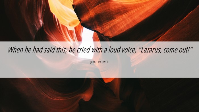 Picture 06 - John 11:43 WEB Desktop Wallpaper - When he had said this, he cried with a loud - Desktop Bible Verse Wallpaper