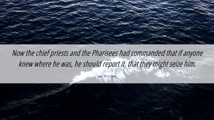 Picture 06 - John 11:57 WEB Desktop Wallpaper - Now the chief priests and the Pharisees had - Desktop Bible Verse Wallpaper