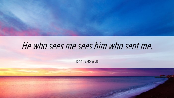 Picture 06 - John 12:45 WEB Desktop Wallpaper - He who sees me sees him who sent - Desktop Bible Verse Wallpaper