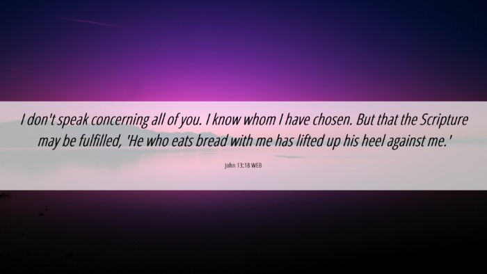 Picture 06 - John 13:18 WEB Desktop Wallpaper - I don't speak concerning all of you. I know whom - Desktop Bible Verse Wallpaper