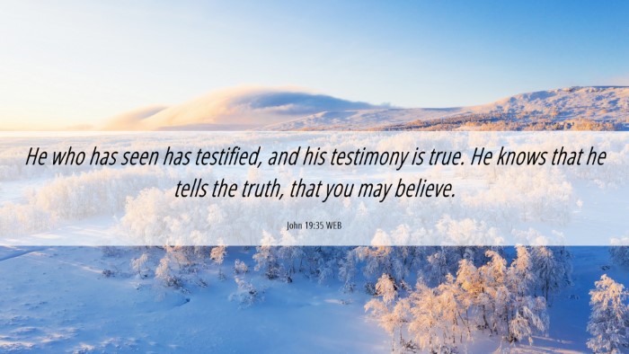 Picture 06 - John 19:35 WEB Desktop Wallpaper - He who has seen has testified, and his testimony - Desktop Bible Verse Wallpaper