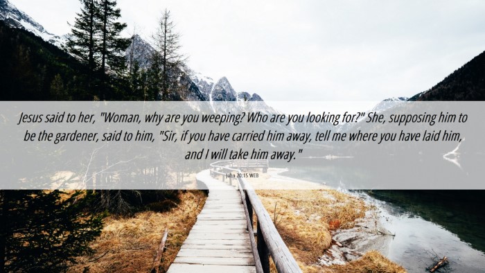 Picture 06 - John 20:15 WEB Desktop Wallpaper - Jesus said to her, 