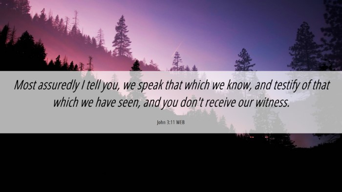 Picture 06 - John 3:11 WEB Desktop Wallpaper - Most assuredly I tell you, we speak that which we - Desktop Bible Verse Wallpaper