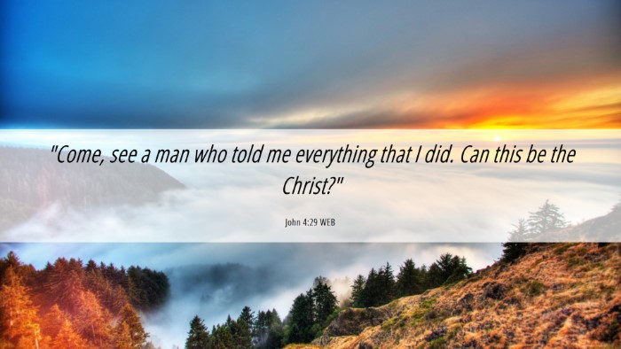 Picture 06 - John 4:29 WEB Desktop Wallpaper - 