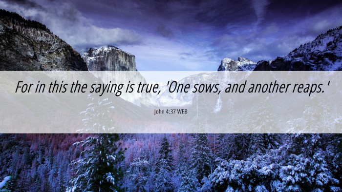Picture 06 - John 4:37 WEB Desktop Wallpaper - For in this the saying is true, 'One sows, and - Desktop Bible Verse Wallpaper
