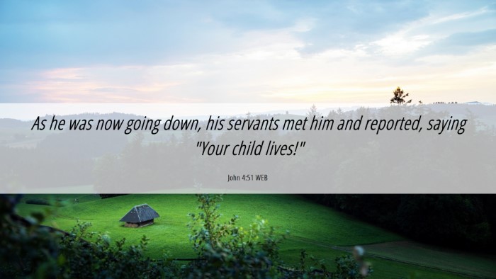 Picture 06 - John 4:51 WEB Desktop Wallpaper - As he was now going down, his servants met him - Desktop Bible Verse Wallpaper