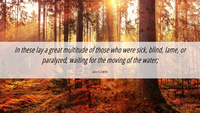 Picture 06 - John 5:3 WEB Desktop Wallpaper - In these lay a great multitude of those who were - Desktop Bible Verse Wallpaper