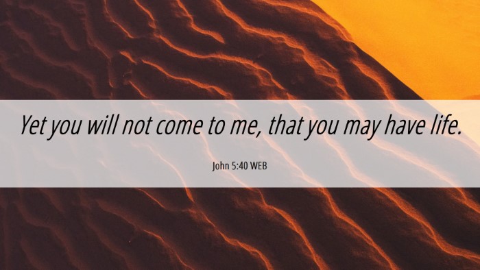 Picture 06 - John 5:40 WEB Desktop Wallpaper - Yet you will not come to me, that you may have - Desktop Bible Verse Wallpaper