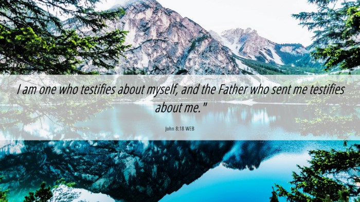 Picture 06 - John 8:18 WEB Desktop Wallpaper - I am one who testifies about myself, and the - Desktop Bible Verse Wallpaper