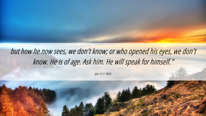 Picture 06 - John 9:21 WEB Desktop Wallpaper - but how he now sees, we don't know; or who opened - Desktop Bible Verse Wallpaper