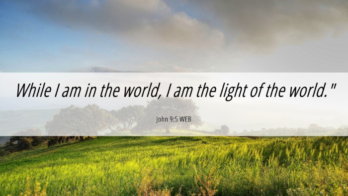 Picture 06 - John 9:5 WEB Desktop Wallpaper - While I am in the world, I am the light of the - Desktop Bible Verse Wallpaper