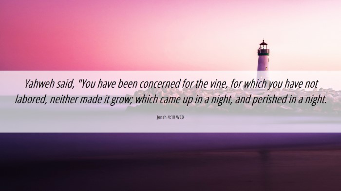 Picture 06 - Jonah 4:10 WEB Desktop Wallpaper - Yahweh said, 