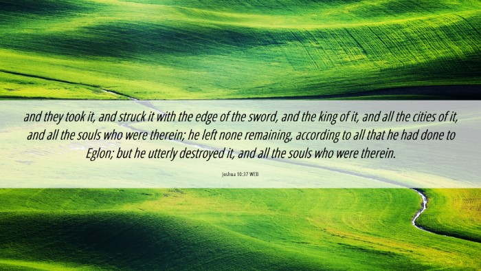 Picture 06 - Joshua 10:37 WEB Desktop Wallpaper - and they took it, and struck it with the edge of - Desktop Bible Verse Wallpaper