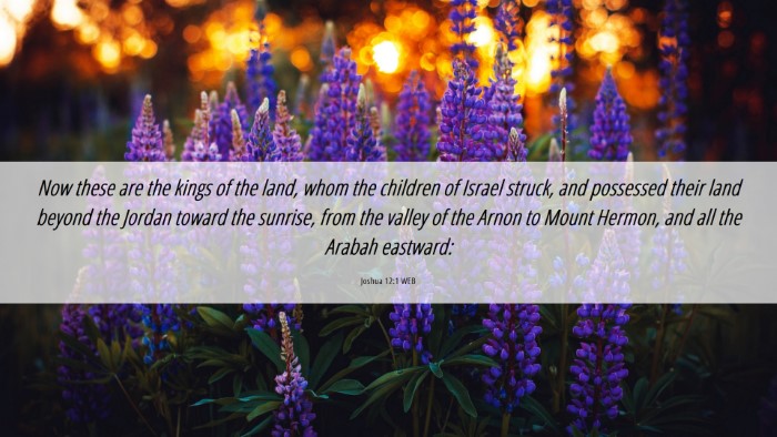 Picture 06 - Joshua 12:1 WEB Desktop Wallpaper - Now these are the kings of the land, whom the - Desktop Bible Verse Wallpaper