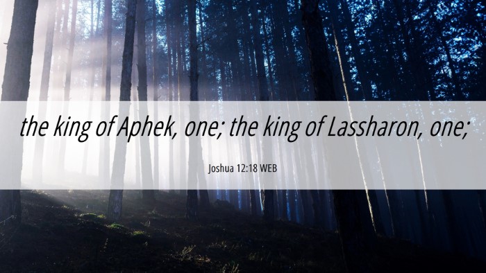 Picture 06 - Joshua 12:18 WEB Desktop Wallpaper - the king of Aphek, one; the king of Lassharon, - Desktop Bible Verse Wallpaper